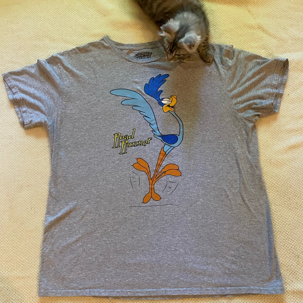 Road Runner Warner Bros. Looney Tunes Gray T-Shirt